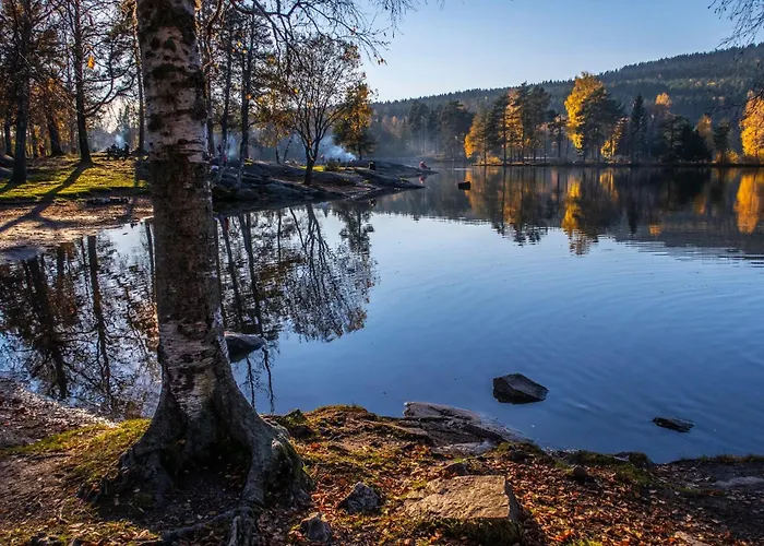 4 Bedroom Flat In The Heart Of Oslo